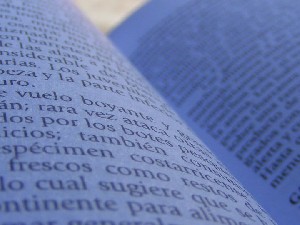 biblioteca 050 copy.jpg